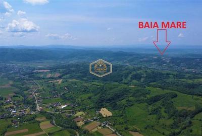 VIDEO | Teren 5.194 m² | 181 metri front la strada Principala (DJ 182C) | Servic - 11