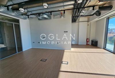 Spatii de birouri PREMIUM (nZEB) 757mp, ZONA CENTRALA - 13