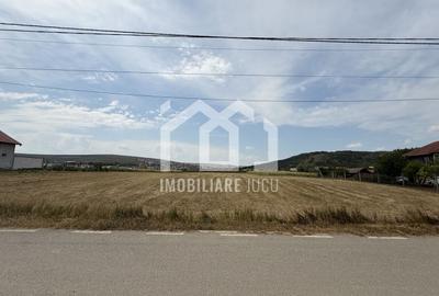 Teren Construibil 2.900 mp – Jucu de Mijloc, zona Panemar - 1