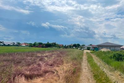 Teren - Dumbrăveni, Balotești - 9