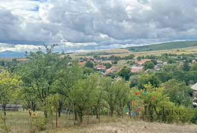 Casa Vanzare Dalnic Covasna - 10