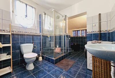 Casa individuala | Pensiune | Cladire Birouri | 346 mp | Cetate - 9