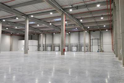 Hala, 2900 mp utili, situata in cartierul Someseni! - 1