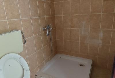 PIATA  GIULESTI  inchiriere casă SINGUR CURTE,400mp teren - 28