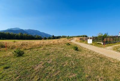 Teren de vânzare – Râșnov, zona Glejerie | 1.300 mp | Vedere spre Munții Bucegi - 6