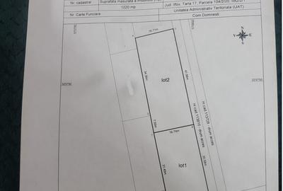 Domnesti Intravilan Ideeal Investitie Toate Utilitatile Autorizatie S+P+1E+M. - 4