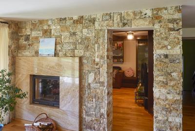 Reprezentare exclusivă · Casa dintre magnolii, Făget · 1.343 mp lângă pădure - 7