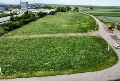 Teren Intravilan de vanzare - 22700mp - Buzau - Pretabil hale industriale - 7