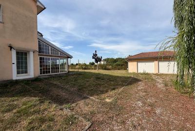 Casa cu teren 10.000mp si foarte multe posibilitati - 4