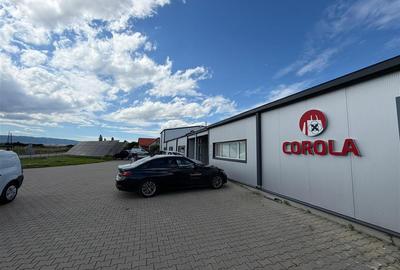 Spațiu Industrial Modern | Producție, Depozitare, Logistică - 27