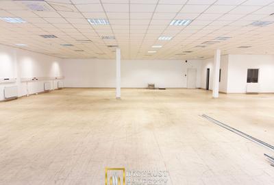 Hală / spațiu industrial 376 mp + birouri, acces TIR - 2