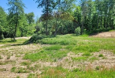 Teren agricol extravilan de 6725 mp, în Hoteni