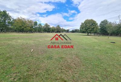 Teren intravilan in Campina--10.072mp--50e - 2