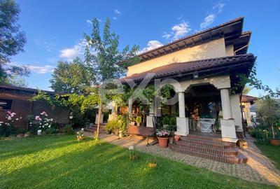 Mogosoaia - de vanzare - vila in stil Brancovenesc - 1