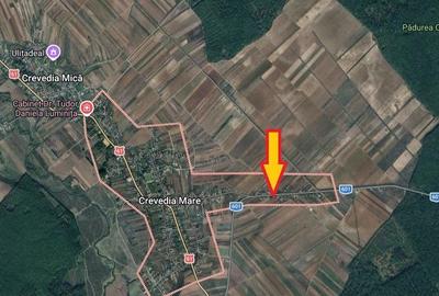Crevedia Mare, Jud. Giurgiu, teren 5000 mp, deschidere 20 m la DJ 601 - 1