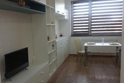 Apartament cu 1 camera tip studio in Tatarasi-Doi Baieti,bloc nou - 2