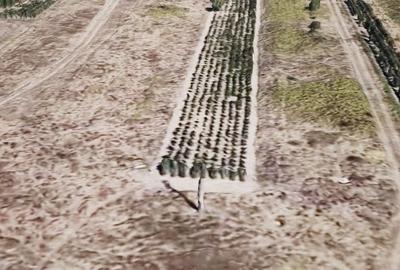 Oportunitate Investitie Teren Intravilan de vanzare - Carcea - 2