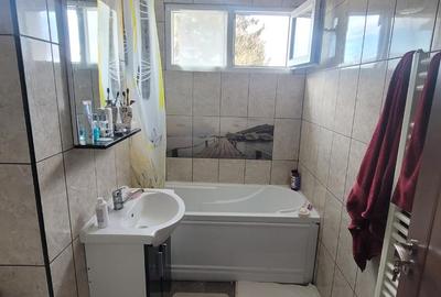 Inchiriere apartament  2 camere 50 mp utili, Gemenii - 14
