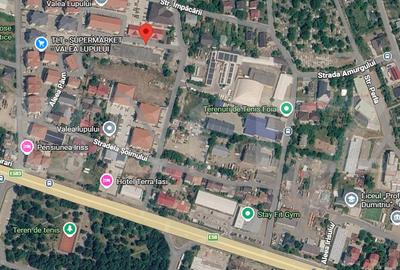 Teren Construcții intravilan de 9444 mp, în Valea Lupului