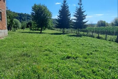 Aninoasa-Valea Silistii, vila de vanzare, p+1, util 140 mp, teren 2850 mp - 4