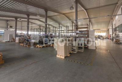 Spațiu industrial, 2132 mp în Sud-Est