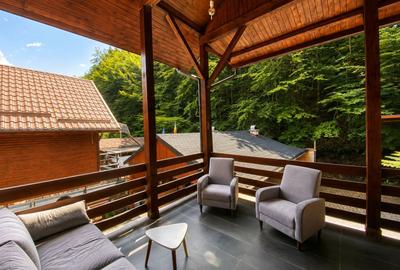 Splendoarea naturii imbinata cu stilul modern=pensiune exclusivista - 9