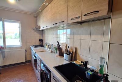 !! 3 Camere model mare.. zona Timocului-A. Saguna vedere spre Bega - 3