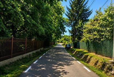 „Acasă, în adevăratul sens al cuvântului – casă cu livadă, liniște - 3