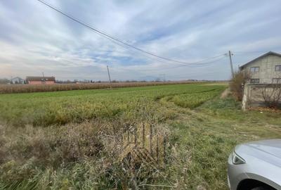 Teren Construcții intravilan de 3500 mp, în Stupini