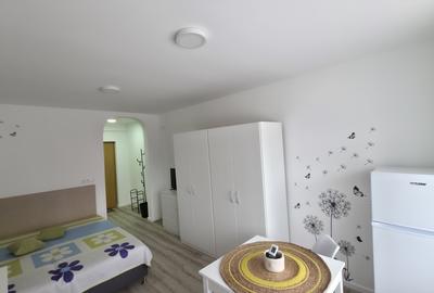 Garsonieră pet-friendly, utilități incluse, Str. București - 1