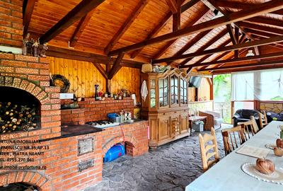 Casa P+M, foisor, anexa si 2500 mp teren, langa padure - 10