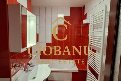 Apartament etaj 1/4 cu 2 camere zona Brazda de inchiriat - 6