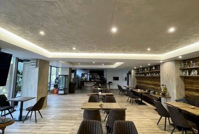 Spațiu Comercial Premium cu Terasă Generoasă în Zona Herăstrău – Oportunitate - 1