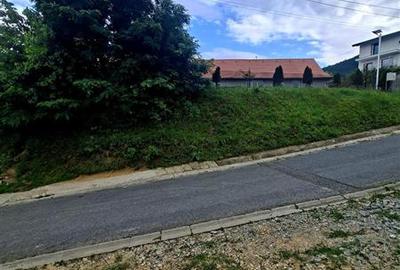 Teren intravilan de vanzare Saliste - 6