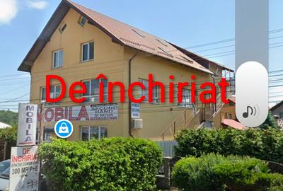 Spațiu comercial, 150 mp în Șcheia