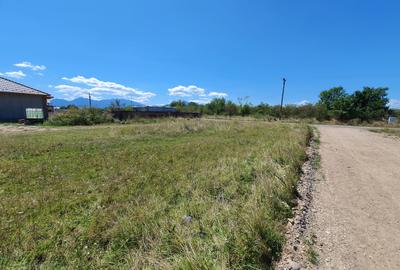 Teren intravilan de vânzare – Sânpetru, Brașov - 3