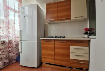 Apartament mobilat,utilat modern,centrala gaz,termen lung - 29