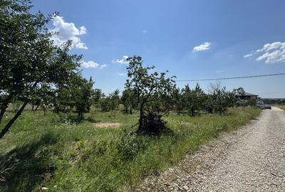 Teren Construcții intravilan de 565 mp, în Cocoșești