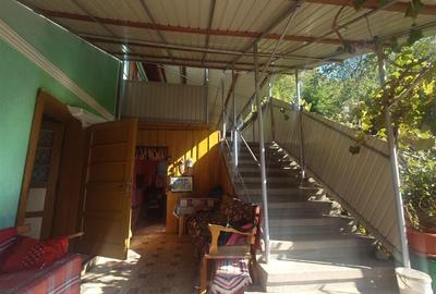 Casa si Teren Criscior - 13