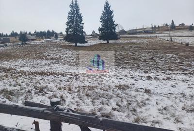 Vand teren intravilan muntele rece - 3