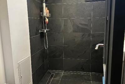 Apartament Piața Victoriei // Titulescu - 12