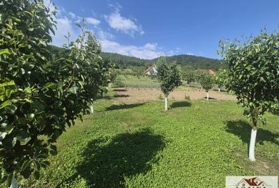 Teren intravilan (2292mp) de vanzare in Vintu de Jos - 6