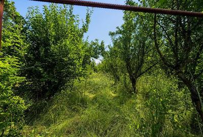 Casa din lemn masiv | 3 camere | Teren 5.000mp -Berceni Prahova - 16