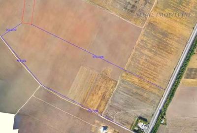Teren Construcții intravilan de 14700 mp, în Adunații-Copăceni