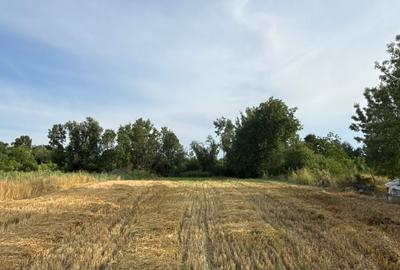 Teren Construcții intravilan de 801 mp, în Jebel