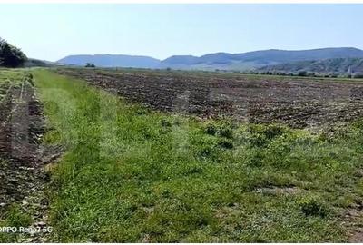Teren agricol extravilan de 2500 mp, în Central