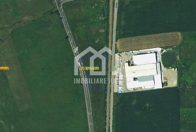 Teren Industrial 6300mp | Intrare din DN1 | Rascruci - 9