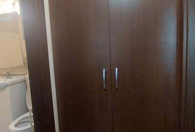 PIATA Unirii-CANTEMIR, inchiriere apartament 2 camere, mobilat si utilat - 13