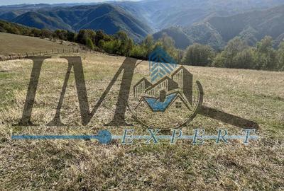Teren extravilan la munte zona Loman! - 1