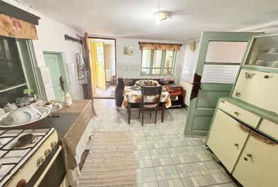 Casa interbelică cu arhitectură deosebită+Anexa și teren 1570 mp - 11
